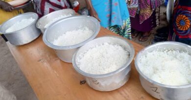 IRRI Releases Four Rice Varieties In DRC