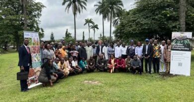 Nigeria Chooses Its Opportunity Crops