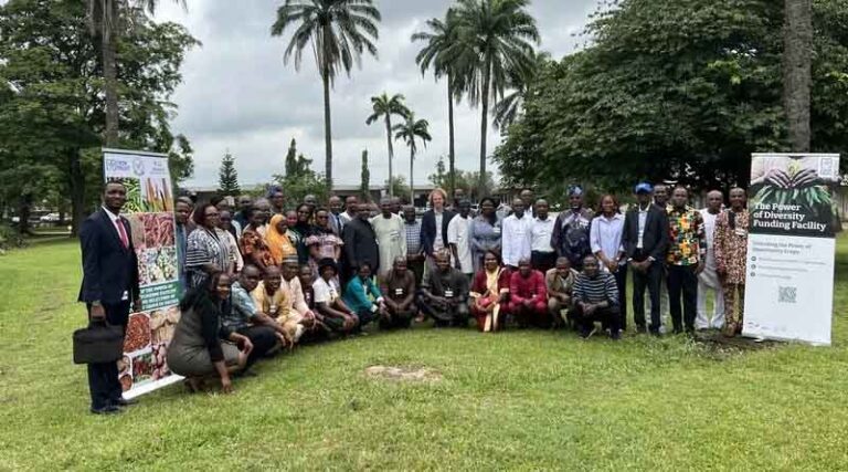 Nigeria Chooses Its Opportunity Crops