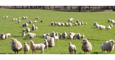 Demo Site Opportunity For Innovative Mixed Farmers