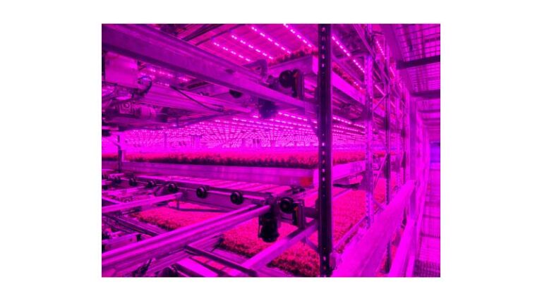 Indoor Farming Leaders Unite to Build a National Powerhouse