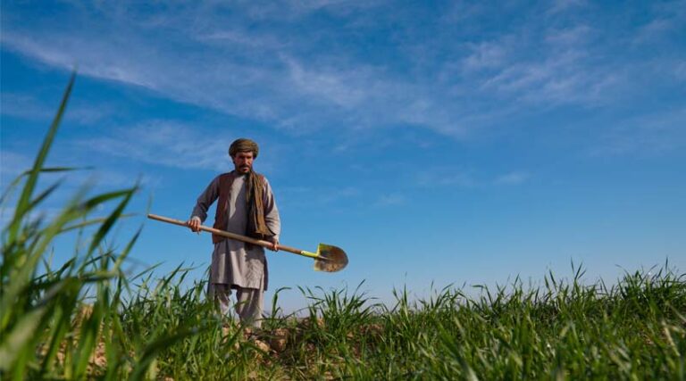 Afghanistan: FAO and UK Launch GBP 10 Million Initiative To Boost Rural Resilience And Food Security