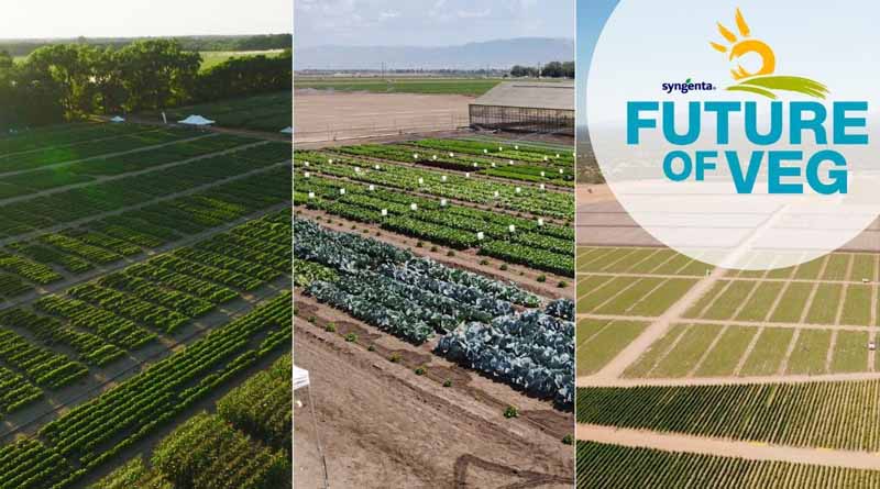 Inaugural Future of Veg Event Shows 400+ Varieties, Innovative Technologies, and Solutions for Visitors Around the World