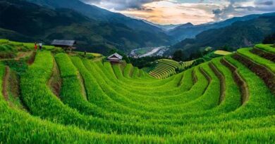 China’s Hani Rice Terraces: Where Ancient Wisdom Shapes the Mountains