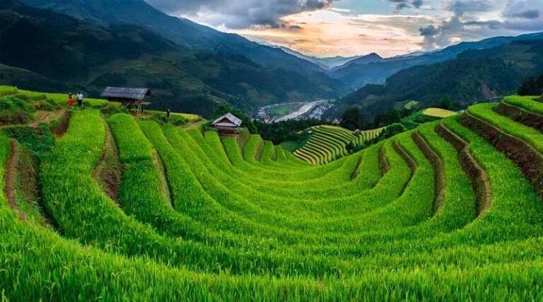 China’s Hani Rice Terraces: Where Ancient Wisdom Shapes the Mountains