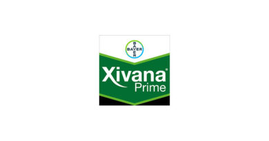 Xivana Prime: Fungicide by Bayer Crop Science for Downy Mildew Control in Grapes