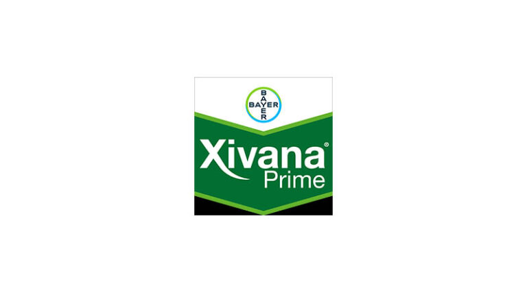 Xivana Prime: Fungicide by Bayer Crop Science for Downy Mildew Control in Grapes