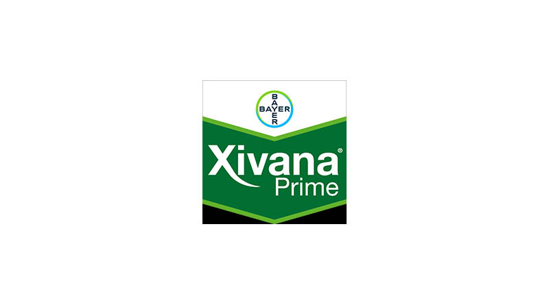 Xivana Prime: Fungicide by Bayer Crop Science for Downy Mildew Control in Grapes