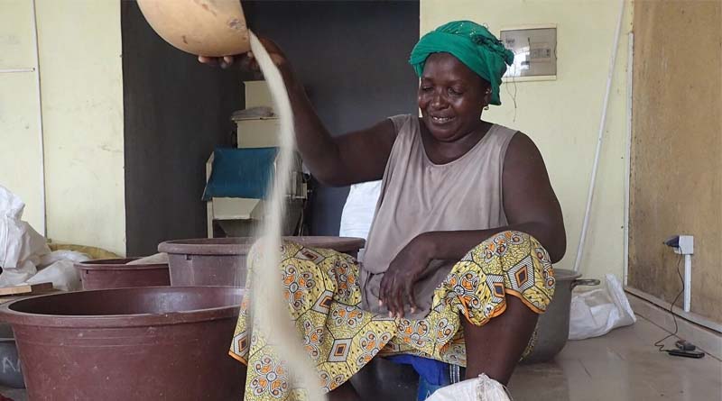 Fonio: Small Grain, Big Opportunity