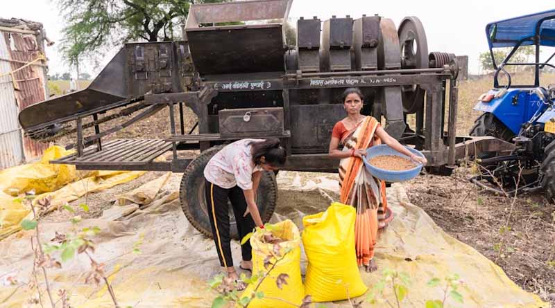 10,000+ Raids in Rajasthan Target Adulterated Seeds and Fertilizers
