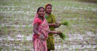 Cultivating Credit: How Fintech is Transforming the Financial Lives of India’s Farmers