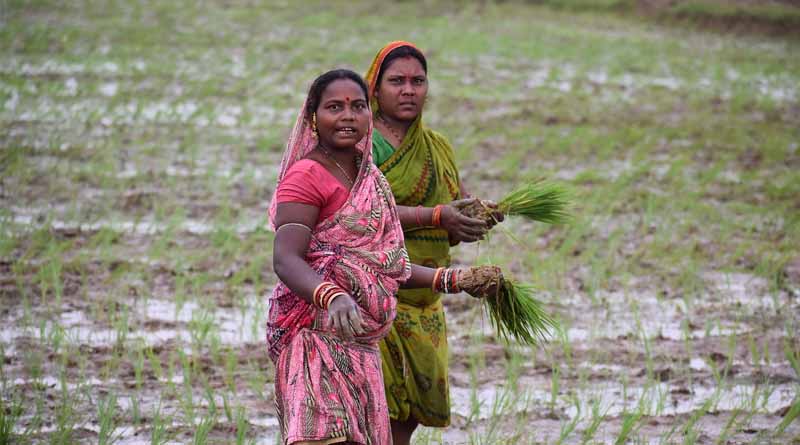Cultivating Credit: How Fintech is Transforming the Financial Lives of India’s Farmers