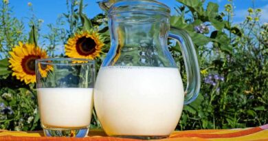 Dairy Contributes 25% of India’s F&B Sector: NDDB Executive Director