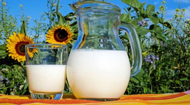 Dairy Contributes 25% of India’s F&B Sector: NDDB Executive Director