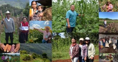 Cultivating the Land with Deep Roots: Indigenous Peoples at the Center of Food Security