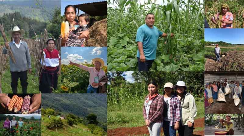 Cultivating the Land with Deep Roots: Indigenous Peoples at the Center of Food Security