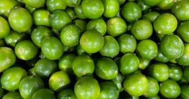 USA: Hawai’i-grown Lemons and Limes Ready for Export