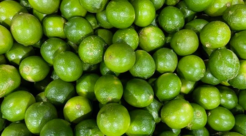 USA: Hawai’i-grown Lemons and Limes Ready for Export