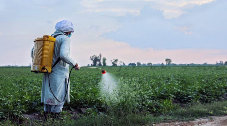 Pesticide Risk Reduction In Pakistan: Building A Safer Future For Farming