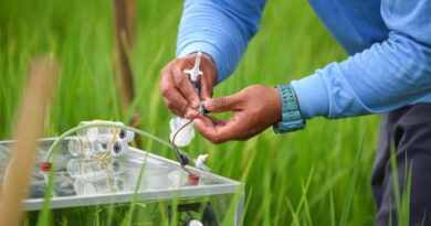 BASF and ICAR-CRRI Partner for Carbon Emission Reduction Trials in India