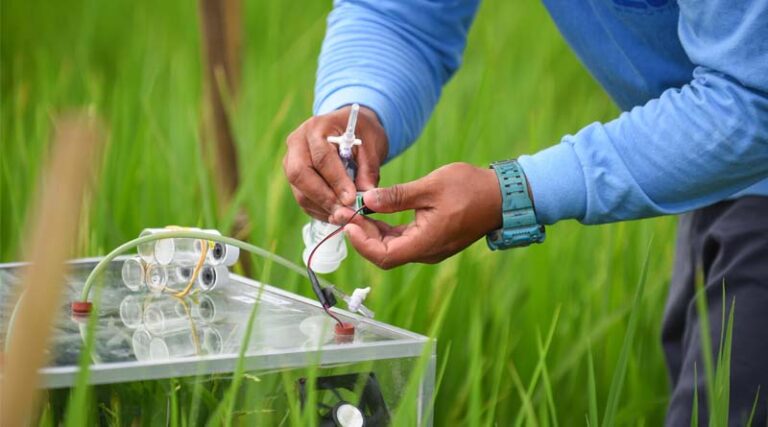 BASF and ICAR-CRRI Partner for Carbon Emission Reduction Trials in India