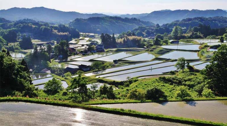 New Globally Important Agricultural Heritage Systems (Giahs) In Italy And Japan Push Global Total Of Designated Sites Past 100