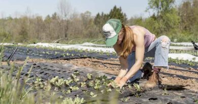 International Year of the Woman Farmer 2026: Recognizing Women’s Role in Global Agriculture