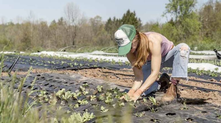 International Year of the Woman Farmer 2026: Recognizing Women’s Role in Global Agriculture