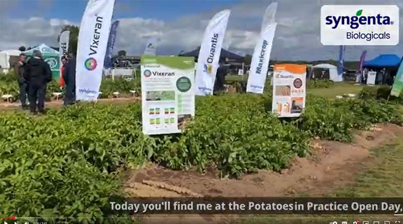 PiP Demo Shows Biostimulant Boost In Potatoes