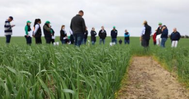 Tour to Identify EP Grains Research Opportunities