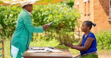 Plantwiseplus Plant Doctors Now In Every District Of Malawi Helping Farmers Increase Livelihoods And Food Security