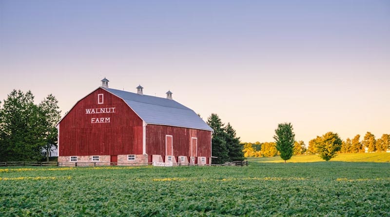 USDA Farm Storage Facility Loan Program Marks 25 Years with Success Stories from U.S. Farmers