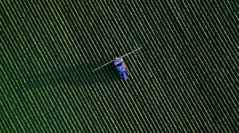 Brazil’s New Pesticides Law Still Faces Delays, Forcing Companies into Court