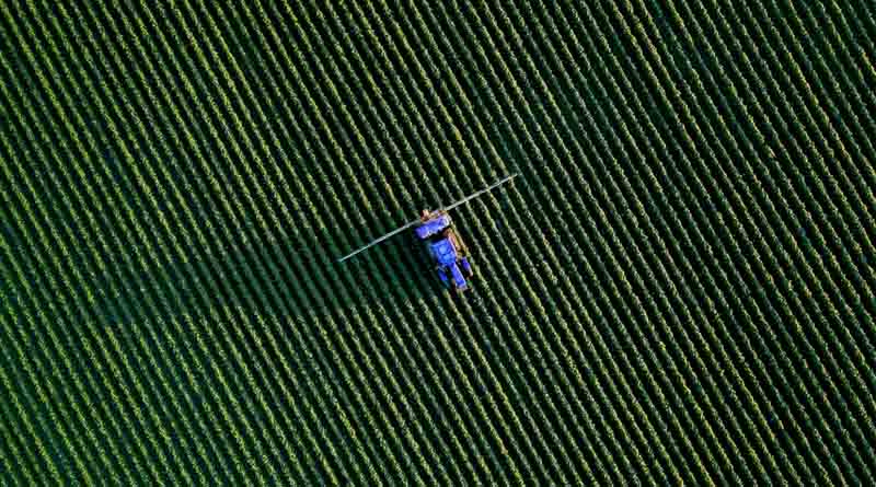 Brazil’s New Pesticides Law Still Faces Delays, Forcing Companies into Court