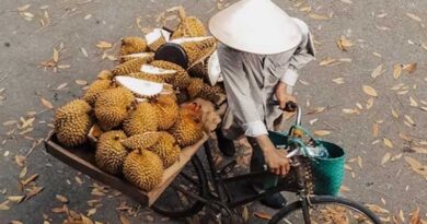 Vietnamese Farmers Use TikTok and Facebook Live to Sell 60 Tons of Durians in Two Hours