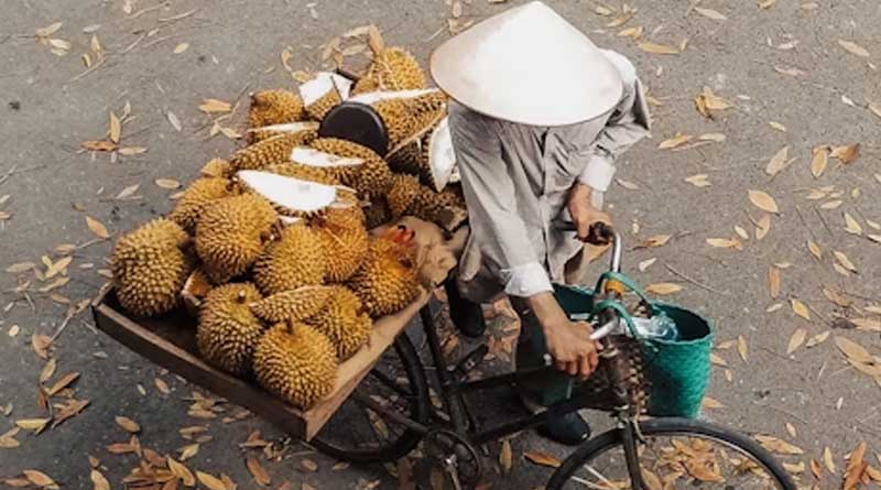 Vietnamese Farmers Use TikTok and Facebook Live to Sell 60 Tons of Durians in Two Hours
