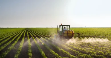 Agriculture Ministers Of China, S. Korea, Japan Hold 4th Trilateral Meeting