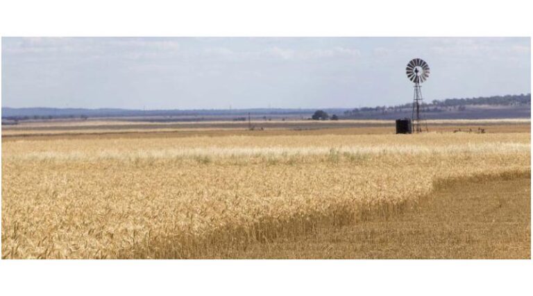 Weeds Cost Australian Farmers $4.4 Billion Annually, But Smart Investments Are Paying Off