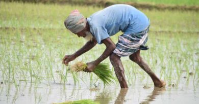 Progress Of Area Coverage Under Kharif Crops As On 08.08.2025