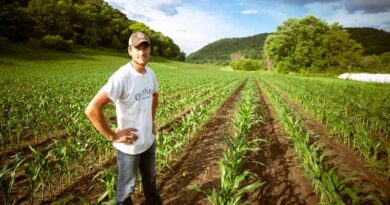 Why Argentine Farmers Struggle to Cover Costs