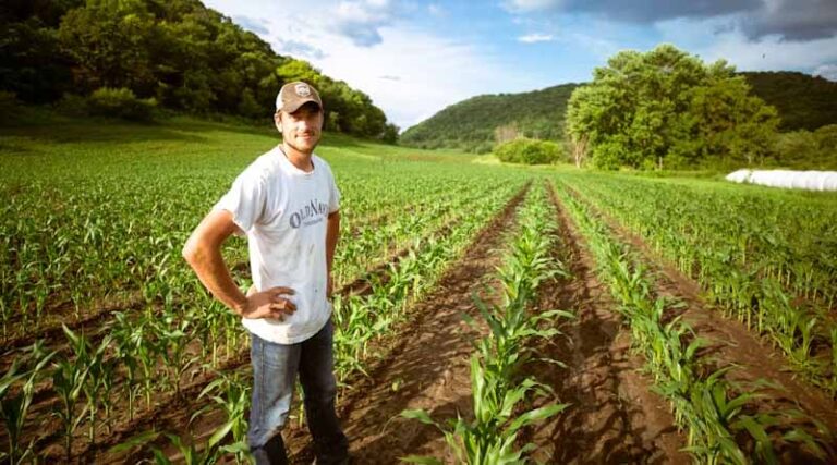 Why Argentine Farmers Struggle to Cover Costs