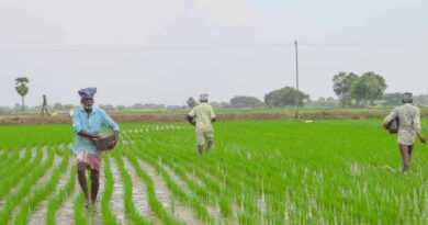 India’s Fertilizer Industry Urges 5% GST on Fertiliser Inputs