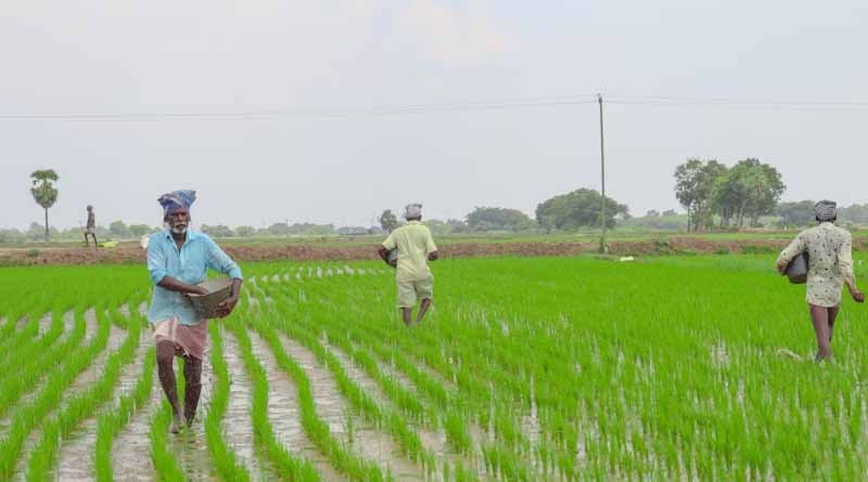 India’s Fertilizer Industry Urges 5% GST on Fertiliser Inputs