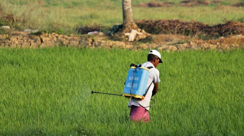 India’s 465th Registration Committee Meeting (CIB&RC) Clears 19 New Pesticide Registrations
