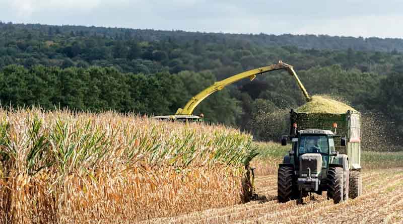 U.S. Farmers See Policy Moving in Right Direction Despite Weaker Sentiment