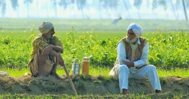 “No Confusion”: High Court Stay Covers Punjab’s Repeated Ban on 12 Pesticides, Says CCFI