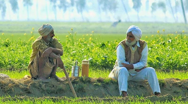 “No Confusion”: High Court Stay Covers Punjab’s Repeated Ban on 12 Pesticides, Says CCFI