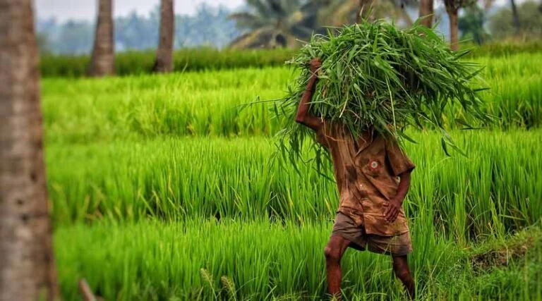 IAS officer Rajesh Jogpal honoured with ‘Community and Social Impact Award’ at 2nd Sustainable Agriculture Summit & Awards 2025