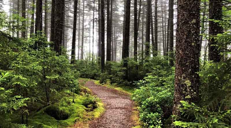 USDA: Secretary Rollins Opens Next Step in the Roadless Rule Rescission