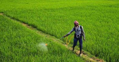 India Pesticide Ban List 2025: Complete Details of Banned, Restricted and Refused Agrochemicals
